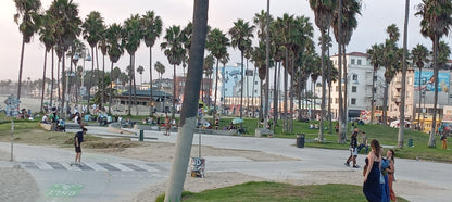 Venice Promenade Creator T-Shirt