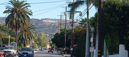 HOLLYWOOD HILLS ECO TOTE BAG // WEST COAST ARCHIVE