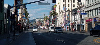 HOLLYWOOD BLVD HOODIE // WEST COAST ARCHIVE